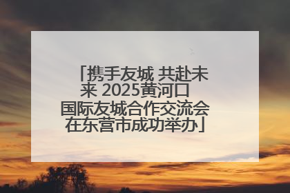 携手友城 共赴未来 2025黄河口国际友城合作交流会在东营市成功举办