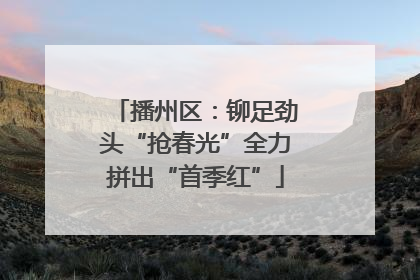 播州区：铆足劲头“抢春光”全力拼出“首季红”