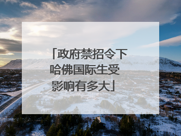 政府禁招令下 哈佛国际生受影响有多大