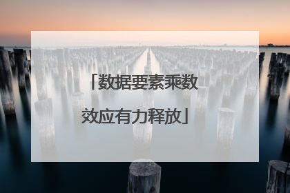 数据要素乘数效应有力释放