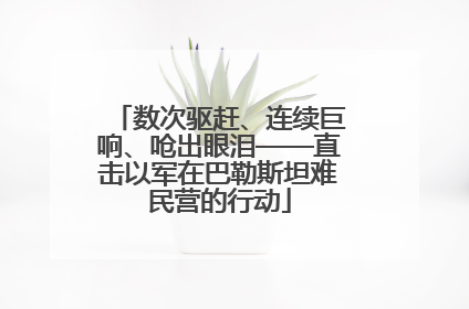 数次驱赶、连续巨响、呛出眼泪——直击以军在巴勒斯坦难民营的行动