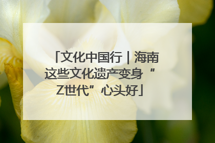 文化中国行｜海南这些文化遗产变身“Z世代”心头好