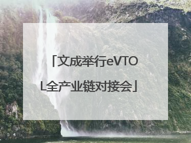文成举行eVTOL全产业链对接会
