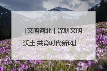文明河北｜深耕文明沃土 共育时代新风