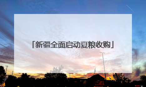 新疆全面启动夏粮收购
