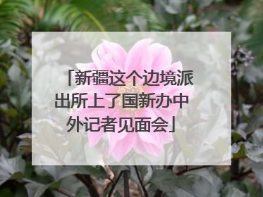 新疆这个边境派出所上了国新办中外记者见面会