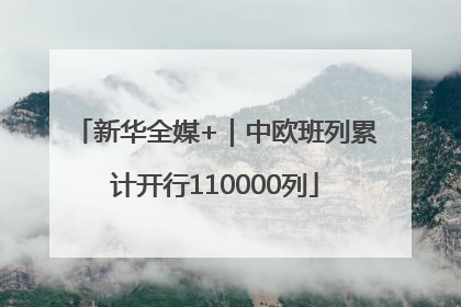 新华全媒+｜中欧班列累计开行110000列