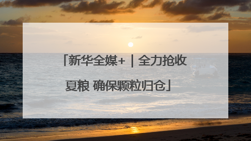 新华全媒+｜全力抢收夏粮 确保颗粒归仓