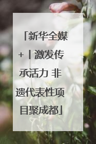 新华全媒+丨激发传承活力 非遗代表性项目聚成都