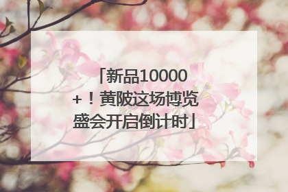 新品10000+！黄陂这场博览盛会开启倒计时