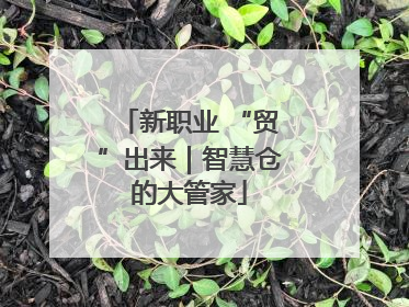 新职业 “贸”出来｜智慧仓的大管家
