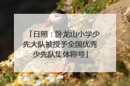 日照：卧龙山小学少先大队被授予全国优秀少先队集体称号