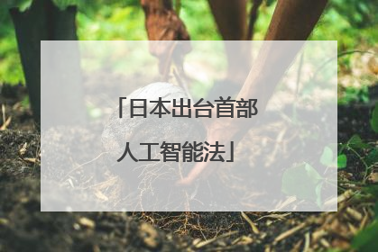日本出台首部人工智能法