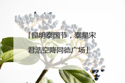 昆明泰国节，泰星宋君浩空降同德广场