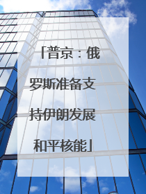 普京：俄罗斯准备支持伊朗发展和平核能