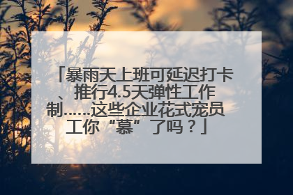 暴雨天上班可延迟打卡、推行4.5天弹性工作制……这些企业花式宠员工你“慕”了吗？