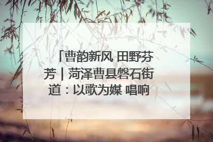 曹韵新风 田野芬芳｜菏泽曹县磐石街道：以歌为媒 唱响乡土“新歌声”