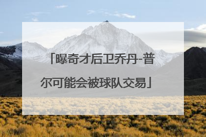 曝奇才后卫乔丹-普尔可能会被球队交易