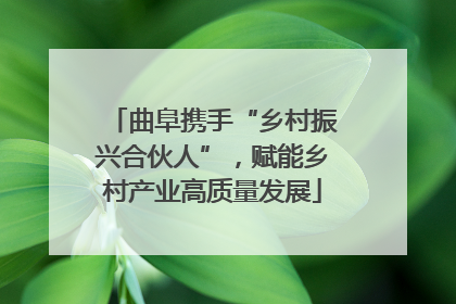 曲阜携手“乡村振兴合伙人”，赋能乡村产业高质量发展