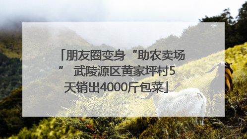 朋友圈变身“助农卖场” 武陵源区黄家坪村5天销出4000斤包菜