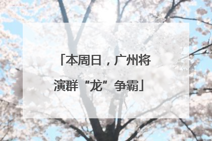 本周日，广州将演群“龙”争霸