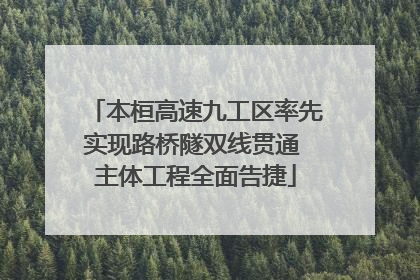 本桓高速九工区率先实现路桥隧双线贯通 主体工程全面告捷