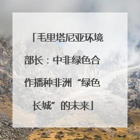 毛里塔尼亚环境部长：中非绿色合作播种非洲“绿色长城”的未来