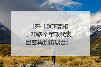 歼-10CE亮相，20多个军政代表团密集到访展台