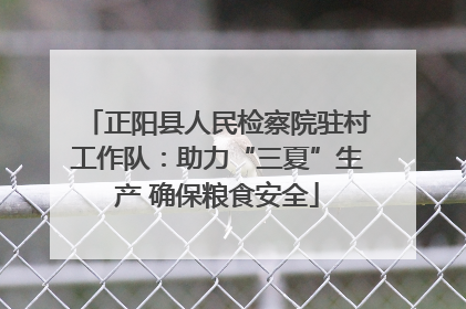 正阳县人民检察院驻村工作队：助力“三夏”生产 确保粮食安全