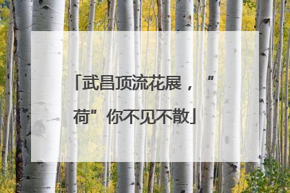 武昌顶流花展，“荷”你不见不散