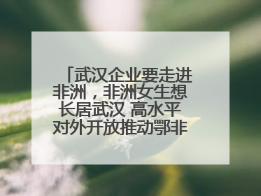 武汉企业要走进非洲，非洲女生想长居武汉 高水平对外开放推动鄂非双向奔赴
