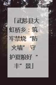 武陟县大虹桥乡：筑牢禁烧“防火墙” 守护夏粮好“丰”景