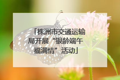 株洲市交通运输局开展“银龄端午福满情”活动