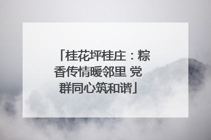 桂花坪桂庄：粽香传情暖邻里 党群同心筑和谐