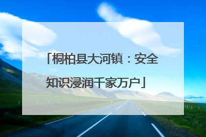 桐柏县大河镇：安全知识浸润千家万户