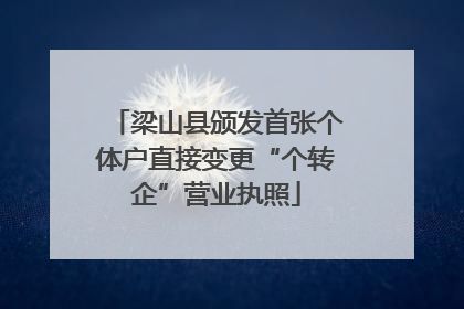 梁山县颁发首张个体户直接变更“个转企”营业执照