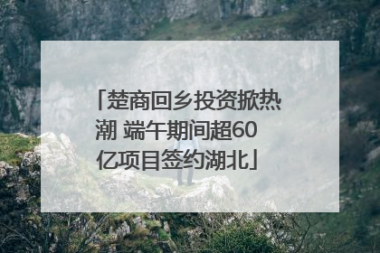 楚商回乡投资掀热潮 端午期间超60亿项目签约湖北