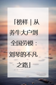 榜样｜从养牛大户到全国劳模：刘琴的不凡之路