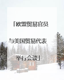 欧盟贸易官员与美国贸易代表举行会谈