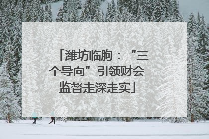 潍坊临朐：“三个导向”引领财会监督走深走实