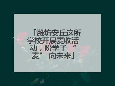 潍坊安丘这所学校开展麦收活动，盼学子 “麦” 向未来