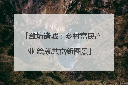 潍坊诸城：乡村富民产业 绘就共富新图景