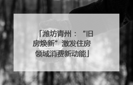潍坊青州：“旧房焕新”激发住房领域消费新动能