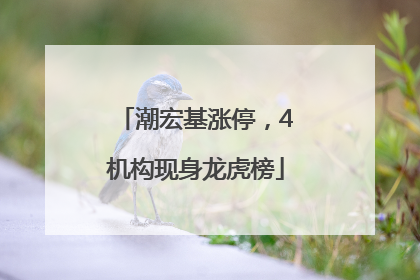 潮宏基涨停，4机构现身龙虎榜