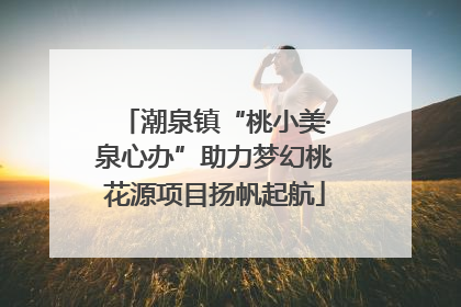 潮泉镇“桃小美·泉心办”助力梦幻桃花源项目扬帆起航