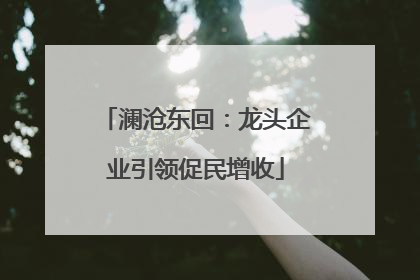 澜沧东回：龙头企业引领促民增收