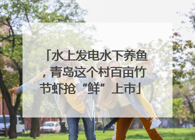 水上发电水下养鱼，青岛这个村百亩竹节虾抢“鲜”上市