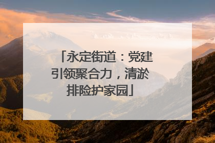 永定街道：党建引领聚合力，清淤排险护家园