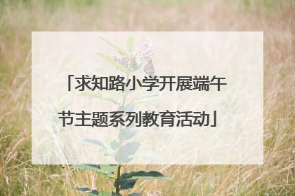 求知路小学开展端午节主题系列教育活动