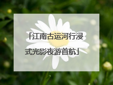 江南古运河行浸式光影夜游首航